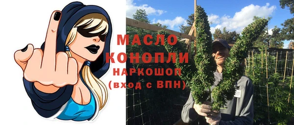 дмт Абаза