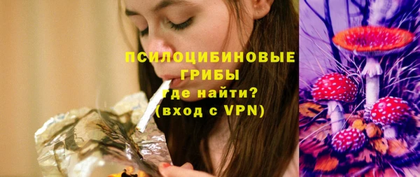 дмт Абаза