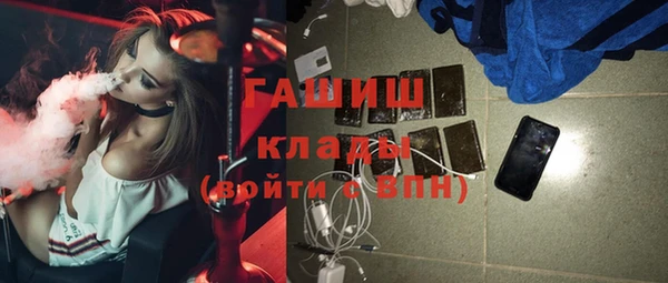 стаф Алзамай