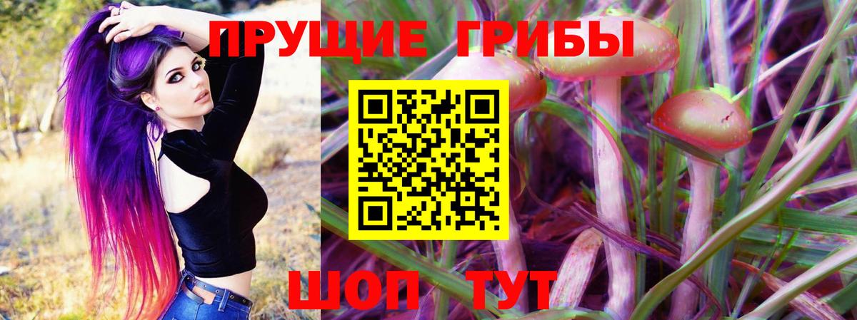 купить наркотики цена  Галлюциногенные грибы Magic Shrooms  Галлюциногенные грибы мухоморы  Вход с VPN  Моршанск 